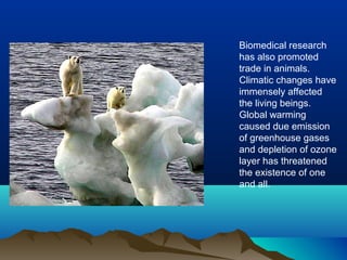 Biomedical research
has also promoted
trade in animals.
Climatic changes have
immensely affected
the living beings.
Global warming
caused due emission
of greenhouse gases
and depletion of ozone
layer has threatened
the existence of one
and all.
 