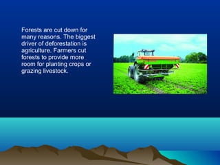 Forests are cut down for
many reasons. The biggest
driver of deforestation is
agriculture. Farmers cut
forests to provide more
room for planting crops or
grazing livestock.
 