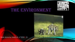 THE ENVIRONMENT
Work done by: Marta B. n.º 20 8th G
 