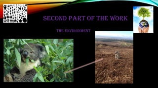 SECOND PART OF THE WORK
The environment
 