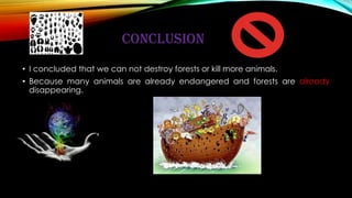 CONCLUSION
• I concluded that we can not destroy forests or kill more animals.
• Because many animals are already endangered and forests are already
disappearing.
 