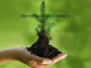 THE ENVIRONMENT PROJECT
 