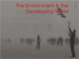The Environment & the Developing World 