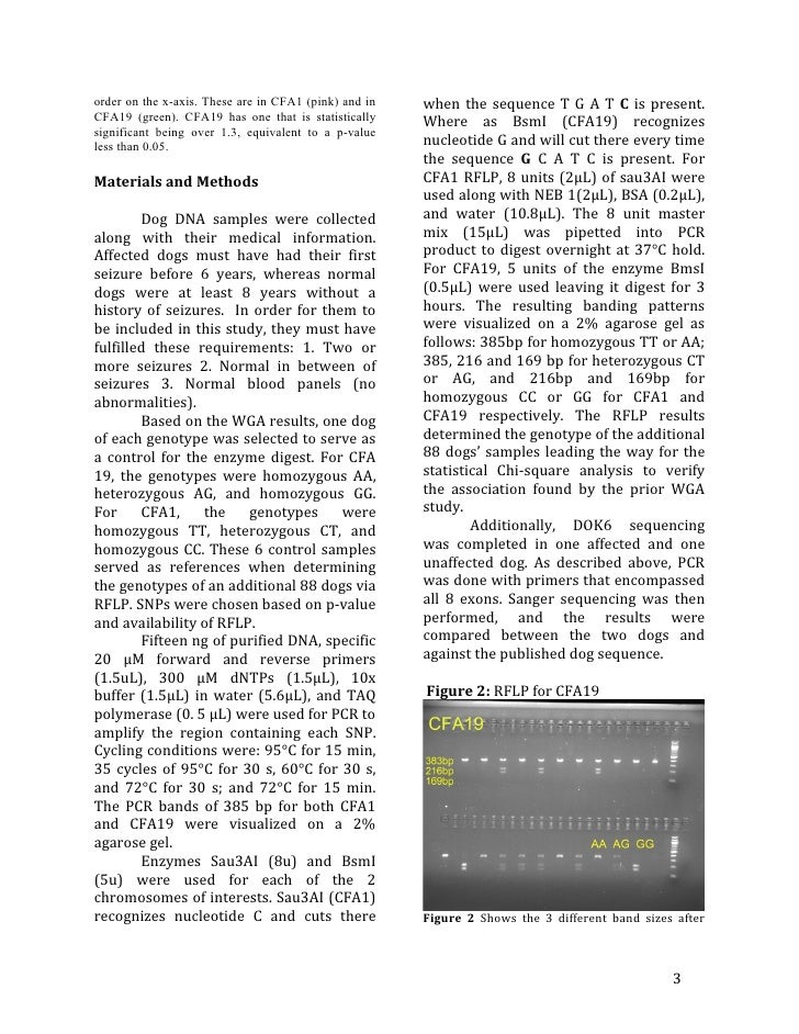 Those who have seizures suffer from a chronic neurological disorder called epilepsy. image