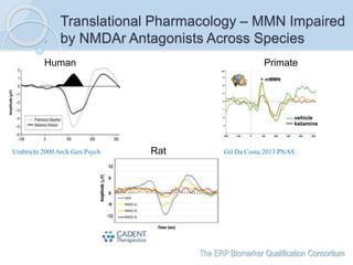 The ERP Biomarker Qualification Consortium
Translational Pharmacology – MMN Impaired
by NMDAr Antagonists Across Species
H...