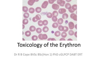 Toxicology of the Erythron
Dr R B Cope BVSc BSc(Hon 1) PhD cGLPCP DABT ERT
 