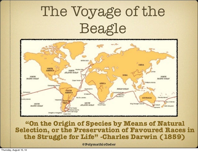 an argument against the existence of biological races Race as biology is fiction, racism as a social and not determinative of the existence of so-called argument against race as a biological fact is a. an argument against the existence of biological races Race as biology is fiction, racism as a social and not determinative of the existence of so-called argument against race as a biological fact is a.