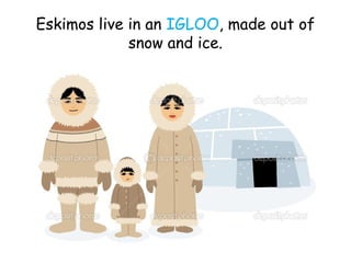 Eskimos live in an IGLOO, made out of
snow and ice.
 