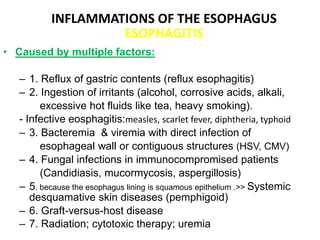 INFLAMMATIONS OF THE ESOPHAGUS
ESOPHAGITIS
• Caused by multiple factors:
– 1. Reflux of gastric contents (reflux esophagitis)
– 2. Ingestion of irritants (alcohol, corrosive acids, alkali,
excessive hot fluids like tea, heavy smoking).
- Infective eosphagitis:measles, scarlet fever, diphtheria, typhoid
– 3. Bacteremia & viremia with direct infection of
esophageal wall or contiguous structures (HSV, CMV)
– 4. Fungal infections in immunocompromised patients
(Candidiasis, mucormycosis, aspergillosis)
– 5. because the esophagus lining is squamous epithelium .>> Systemic
desquamative skin diseases (pemphigoid)
– 6. Graft-versus-host disease
– 7. Radiation; cytotoxic therapy; uremia
 