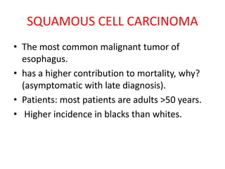 SQUAMOUS CELL CARCINOMA
• The most common malignant tumor of
esophagus.
• has a higher contribution to mortality, why?
(asymptomatic with late diagnosis).
• Patients: most patients are adults >50 years.
• Higher incidence in blacks than whites.
 