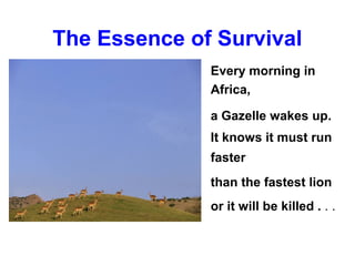 The Essence of Survival
              Every morning in
              Africa,

              a Gazelle wakes up.
              It knows it must run
              faster
              than the fastest lion
              or it will be killed . . .
 