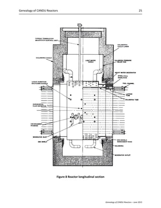 The essentialcandu | PDF