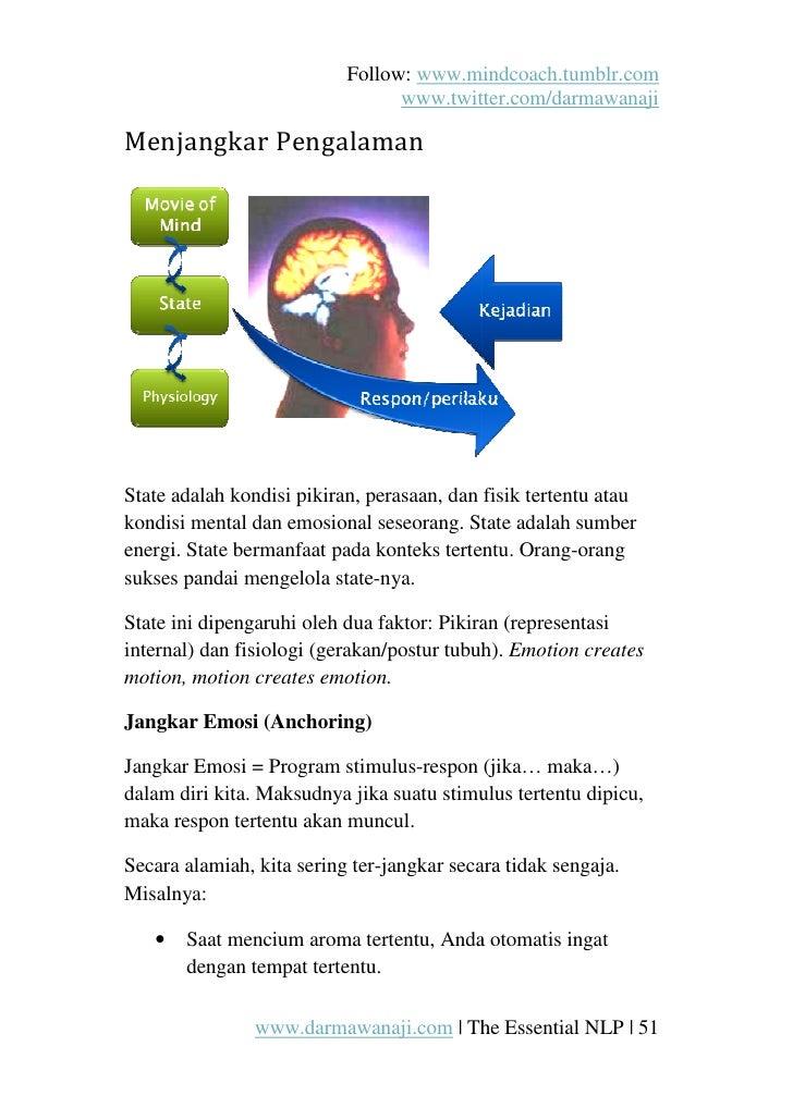 read a grammar of modern indo european language culture writing system phonology morphology and