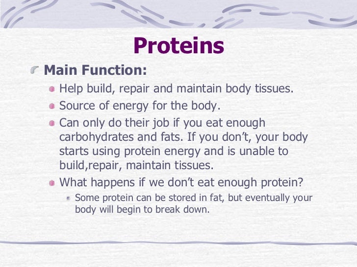 6 Proteinsmain Function 6 Proteinsmain Function