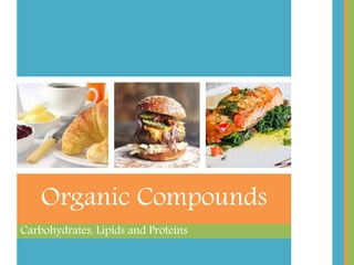 Carbohydrates
 