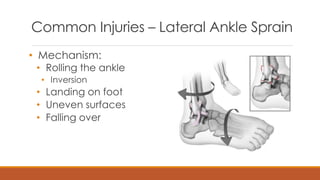 Inverted Injuries The Essentials of Performance and Prevention | PDF