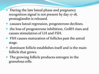  During the late luteal phase and pregnancy
    recognition signal is not present by day 17-18,
    prostaglandin is released.
    casuses luteal regression, progesterone declines.
    the loss of progesterone inhibition, GnRH rises and
    causes stimulation of LH and FSH.
    FSH causes maturation of follicles past the antral
    stage.
    dominant follicle establishes itself and is the main
    follicle that grows.
    The growing follicle produces estrogen in the
    granulosa cells.
 