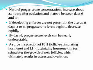  Natural progesterone concentrations increase about
  24 hours after ovulation and plateau between days 6
  and 10.
 If developing embryos are not present in the uterus at
  days 12 to 14, progesterone levels begin to decrease
  rapidly.
 By day 16, progesterone levels can be nearly
  undetectable.
 A surge in secretion of FSH (follicle-stimulating
  hormone) and LH (luteinizing hormone), in turn,
  stimulates the growth of new follicles, which
  ultimately results in estrus and ovulation.
 