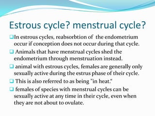 Estrous cycle? menstrual cycle?
In estrous cycles, reabsorbtion of the endometrium
 occur if conception does not occur during that cycle.
 Animals that have menstrual cycles shed the
 endometrium through menstruation instead.
 animal with estrous cycles, females are generally only
 sexually active during the estrus phase of their cycle.
 This is also referred to as being "in heat.“
 females of species with menstrual cycles can be
 sexually active at any time in their cycle, even when
 they are not about to ovulate.
 