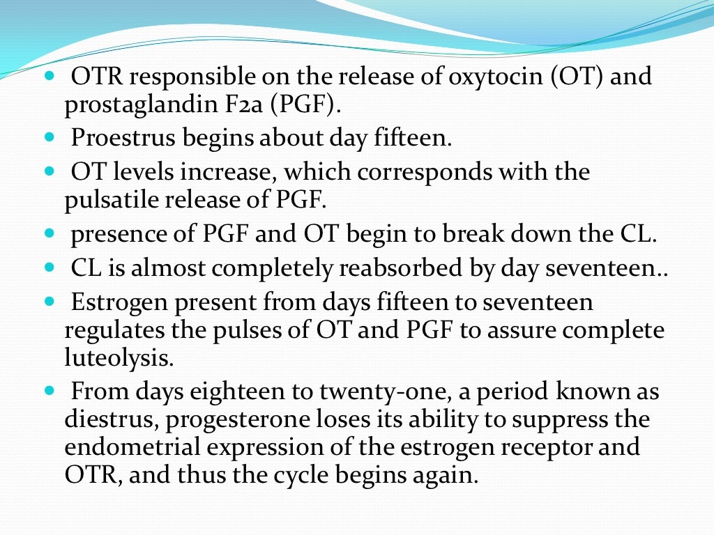 The Estrous Cycle