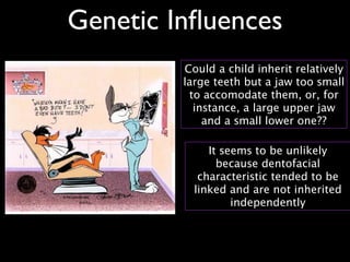 Genetic Inﬂuences
Could a child inherit relatively
large teeth but a jaw too small
to accomodate them, or, for
instance, a large upper jaw
and a small lower one??
It seems to be unlikely
because dentofacial
characteristic tended to be
linked and are not inherited
independently
 