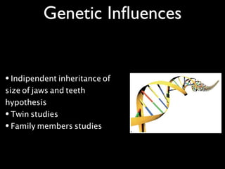 • Indipendent inheritance of
size of jaws and teeth
hypothesis
• Twin studies
• Family members studies
Genetic Inﬂuences
 