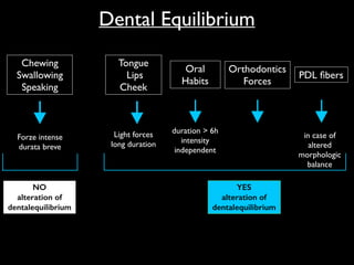 Chewing
Swallowing
Speaking
Tongue	

Lips 	

Cheek
Oral
Habits
Orthodontics
Forces
PDL ﬁbers
YES
alteration of
dentalequilibrium
NO
alteration of
dentalequilibrium
Forze intense
durata breve
Light forces
long duration
duration > 6h
intensity
independent
in case of
altered
morphologic
balance
Dental Equilibrium
 