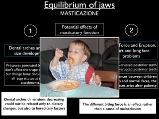 Potential effects of
masticatory function
Equilibrium of jaws
Dental arches dimensions decreasing
could not be related only to dietary
changes, but also to hereditary factors
The different biting force is an effect rather
than a cause of malocclusion
deep bite =infra-erupted posterior teeth 	

open bite =supra-erupted posterior teeth
There are no differences between children
with long faces and normal faces, the
differences arise after puberty
Biting Force and Eruption,
short and long face
problems
2
Pressures generated by chewing
don’t affect the shape of the jaws,
but change bone density most of
all soprattutto at muscle
attachments.
Dental arches and jaws
size development
1
MASTICAZIONE
 