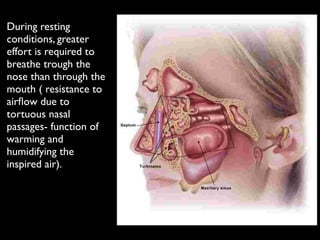 During resting
conditions, greater
effort is required to
breathe trough the
nose than through the
mouth ( resistance to
airﬂow due to
tortuous nasal
passages- function of
warming and
humidifying the
inspired air).	

!
	

!
 
