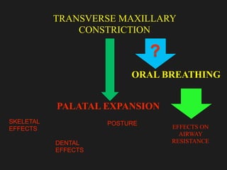 ORAL BREATHING
!
PALATAL EXPANSION
TRANSVERSE MAXILLARY
CONSTRICTION
?
DENTAL
EFFECTS
SKELETAL
EFFECTS
POSTURE
EFFECTS ON
AIRWAY
RESISTANCE
 