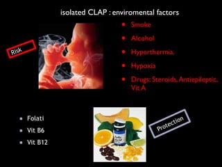 isolated CLAP : enviromental factors
• Smoke	

• Alcohol	

• Hyperthermia.	

• Hypoxia	

• Drugs: Steroids,Antiepileptic,
Vit A
Risk
● Folati
● Vit B6
● Vit B12
Protection
 