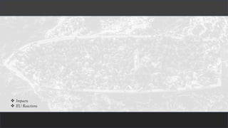 ❖ Impacts
❖ EU Reactions
 