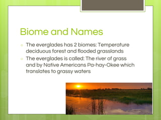 Biome and Names
○ The everglades has 2 biomes: Temperature
deciduous forest and flooded grasslands
○ The everglades is called: The river of grass
and by Native Americans Pa-hay-Okee which
translates to grassy waters
 