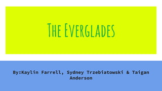 TheEverglades
By:Kaylin Farrell, Sydney Trzebiatowski & Taigan
Anderson
 