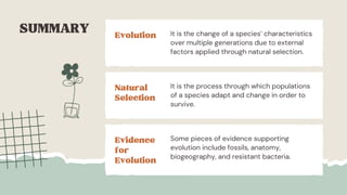 The Evidence for Evolution Education Presentation in Light Blue Style ...