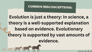 The Evidence for Evolution Education Presentation in Light Blue Style ...