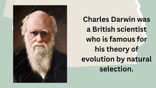 The Evidence for Evolution Education Presentation in Light Blue Style ...