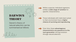 The Evidence for Evolution Education Presentation in Light Blue Style ...
