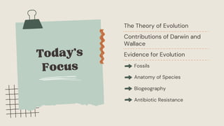 The Evidence for Evolution Education Presentation in Light Blue Style ...
