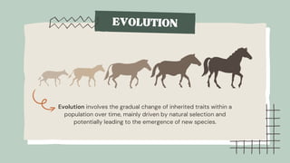 The Evidence for Evolution Education Presentation in Light Blue Style ...