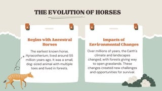 The Evidence for Evolution Education Presentation in Light Blue Style ...