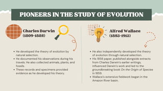 The Evidence for Evolution Education Presentation in Light Blue Style ...