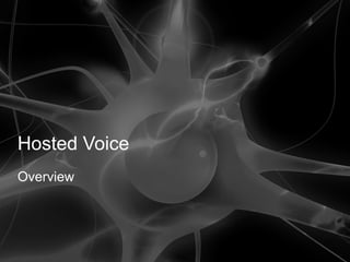 Hosted Voice 
Overview 
 