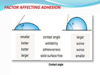FACTOR AFFECTING ADHESION
 