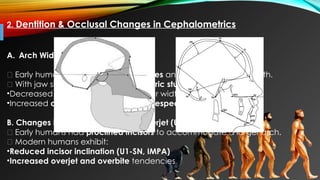 Overbite Evolution In Humans The evolution of dentition and jaws.pptx