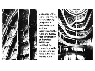 Underside of the
leaf of the Victoria
Regia water lily
(left) (which
provided Paxton
with the
inspiration for the
ridge-and-furrow
roof construction
of the Great
Exhibition
building), for
comparison with
the concrete car
ramp in the Fiat
factory, Turin
 