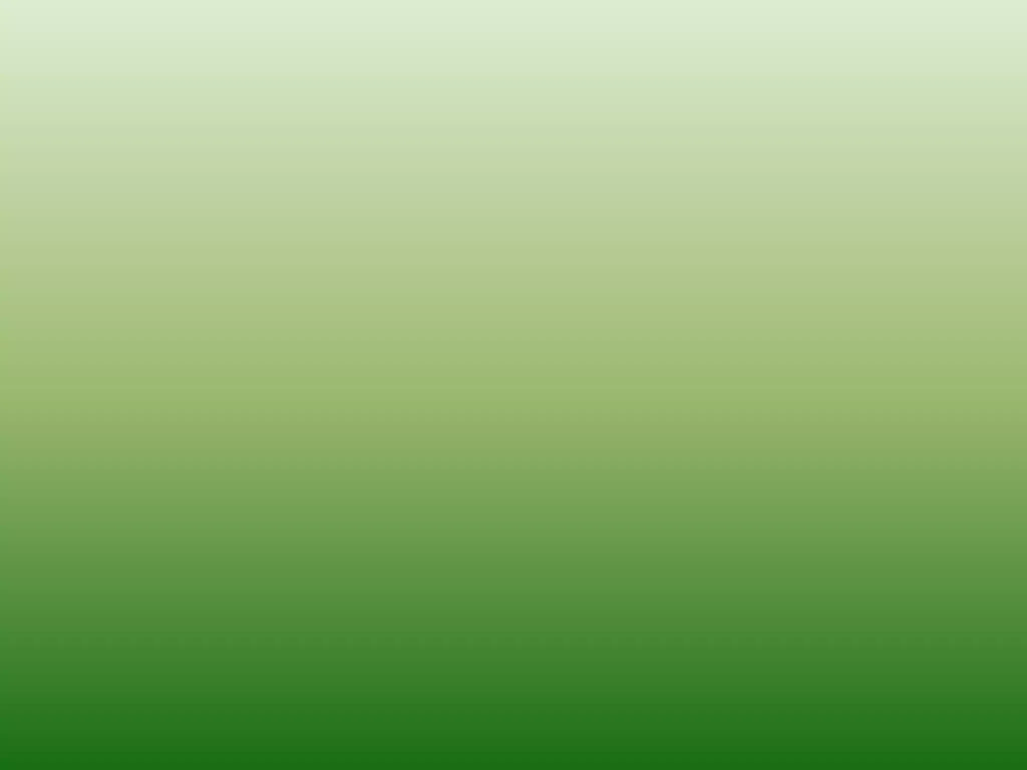 The evolution of human brain