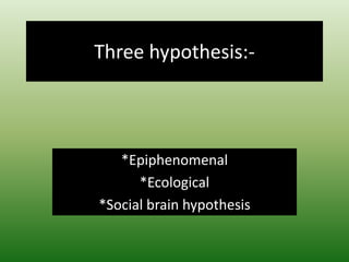 Three hypothesis:-
*Epiphenomenal
*Ecological
*Social brain hypothesis
 