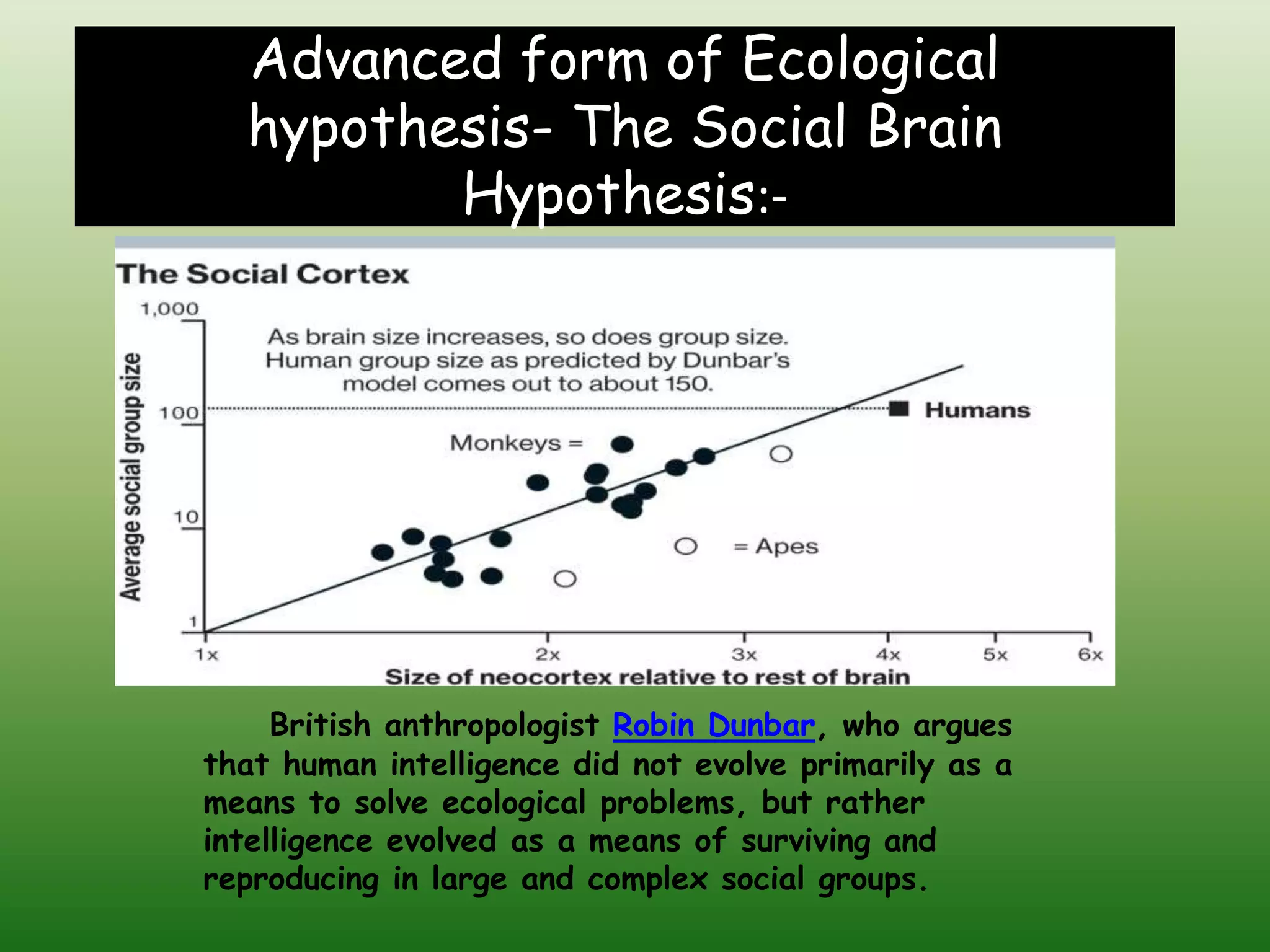 The evolution of human brain | PPTX