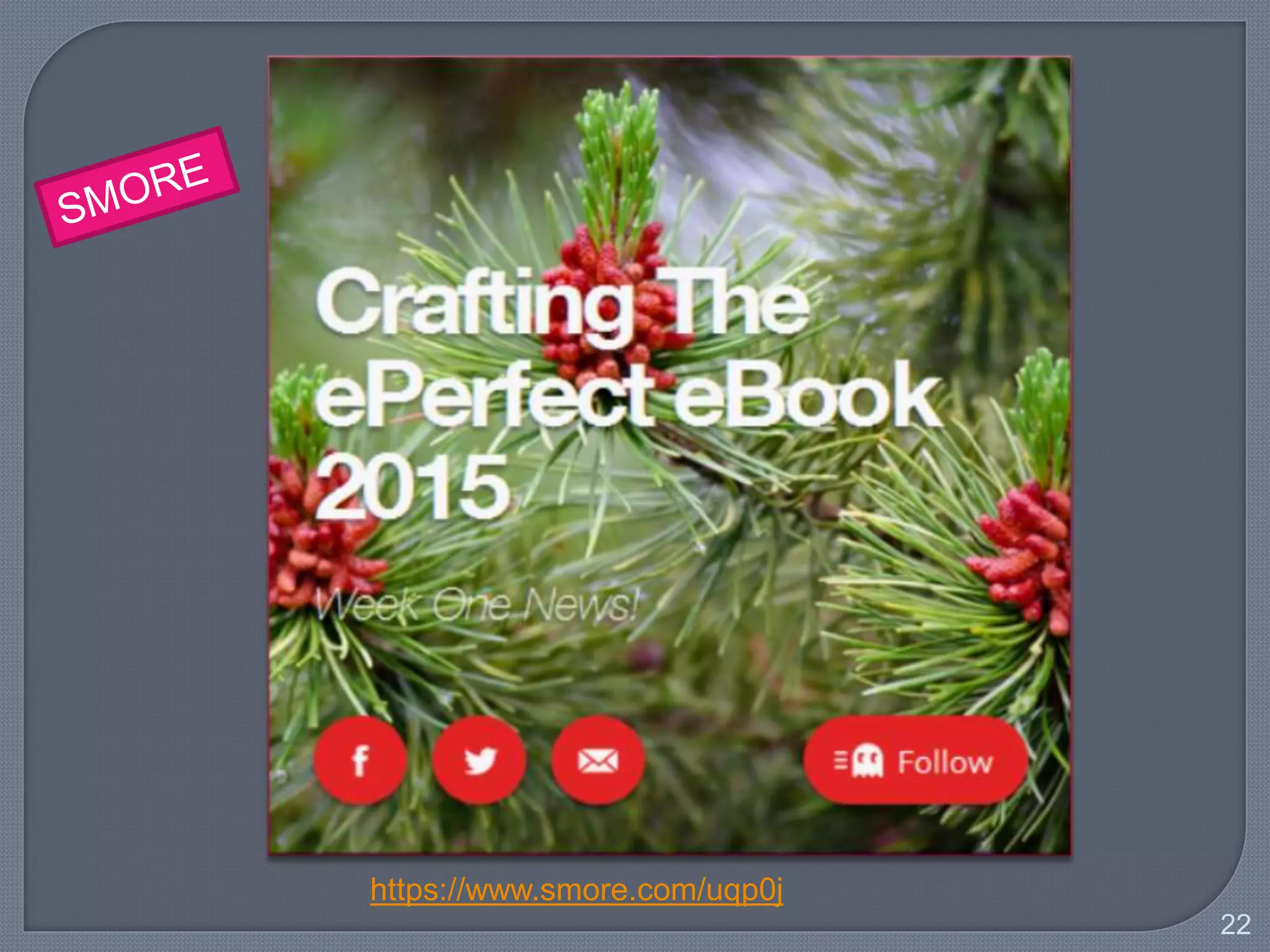 22
Dvolver
Animoto
Smore
fodey
Voki
 